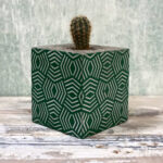 CACTUS BLOCK BREZOVA