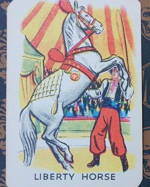Snap Card: Liberty Horse