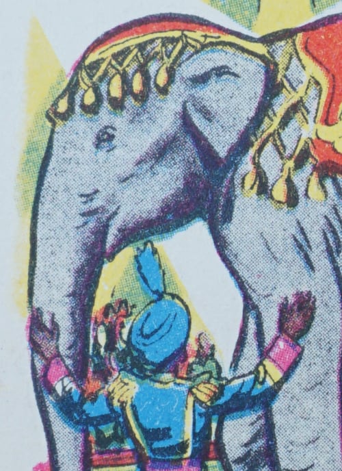Snap Card: Elephant Trainer