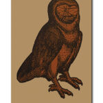 Poster The Owl