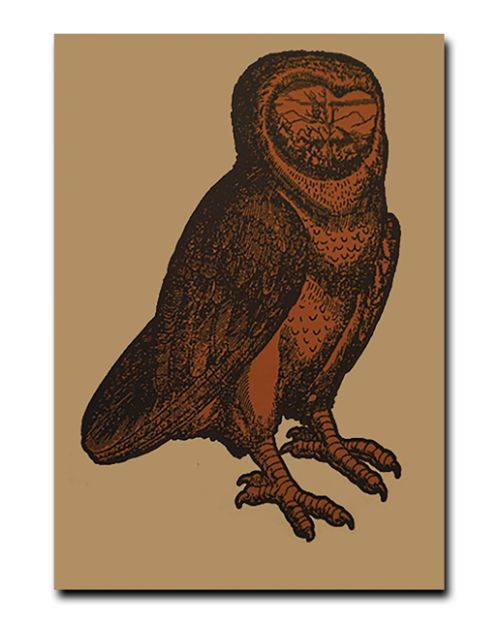 Poster The Owl