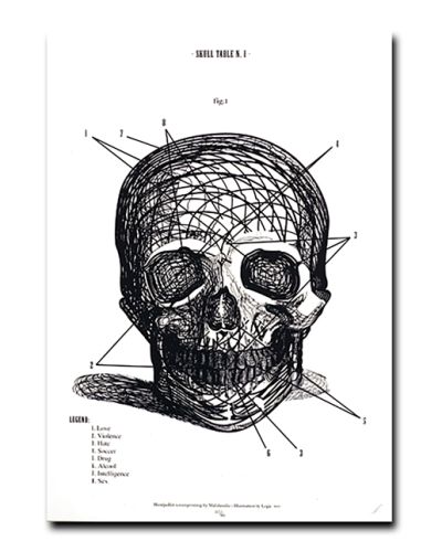 Poster Human Skull