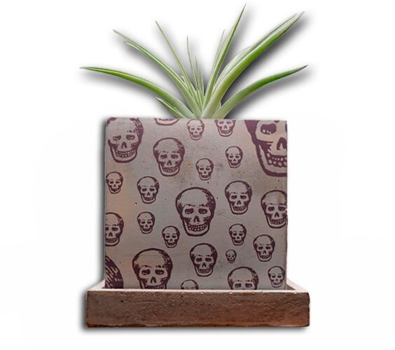 SURVIVAL KIT SKULL