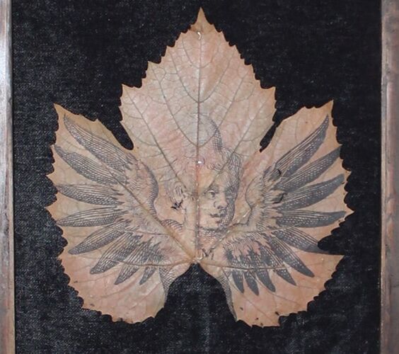 Leaf Mutationis