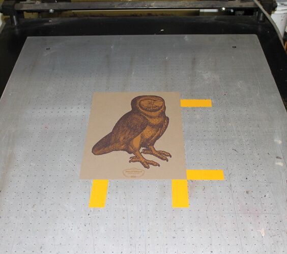 Poster The Owl