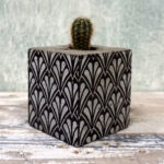 CACTUS BLOCK PITESTI