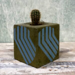 CACTUS BLOCK CACINCI