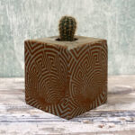 CACTUS BLOCK VORTICE