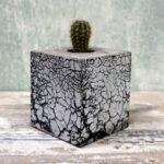 CACTUS BLOCK CRACK