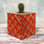 CACTUS BLOCK RED PATTERN