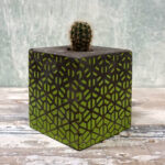 CACTUS BLOCK GREEN PATTERN