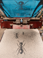 POSTER "ANT " - immagine 3